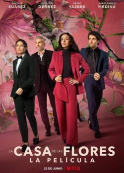 La Casa de Las Flores: Il film poster