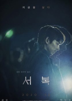 Seobok poster
