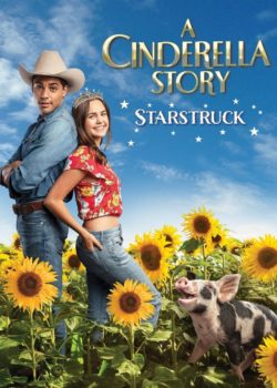 A Cinderella Story: Starstruck poster