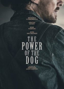Il potere del cane poster