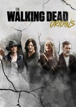 The Walking Dead: Origins poster