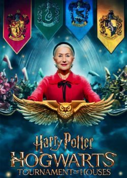 Harry Potter: Hogwarts Tournament of Houses poster