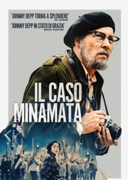 Il caso Minamata poster
