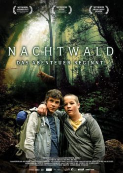 Nachtwald poster