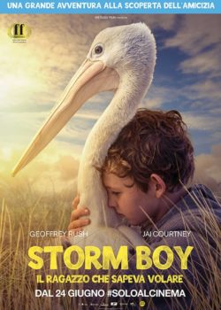 Storm Boy – Il ragazzo che sapeva volare poster