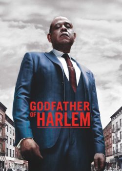 Godfather of Harlem poster