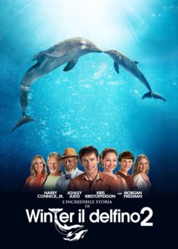 L’incredibile storia di Winter il delfino 2 poster
