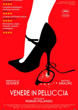 Venere in pelliccia poster