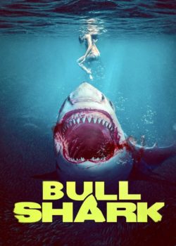 Bull Shark poster