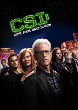 CSI: Scena del crimine poster