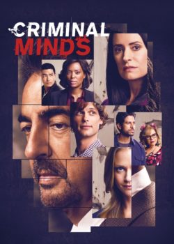 Criminal Minds poster