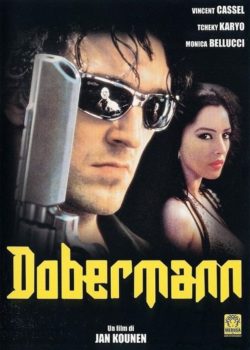 Dobermann poster