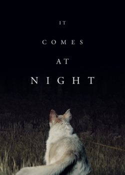 It Comes at Night poster