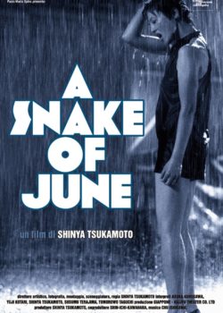 A Snake of June poster