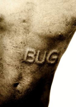 Bug – La paranoia è contagiosa poster