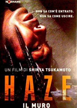 Haze – Il muro poster