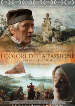 I colori della passione poster