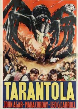 Tarantola poster