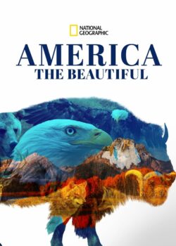 America the Beautiful poster