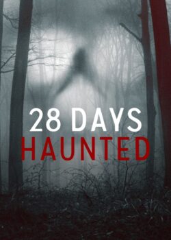 28 giorni paranormali poster