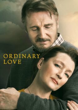 Ordinary love – Un amore come tanti poster