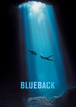 Blueback poster