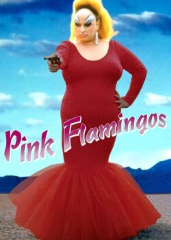 Pink Flamingos poster