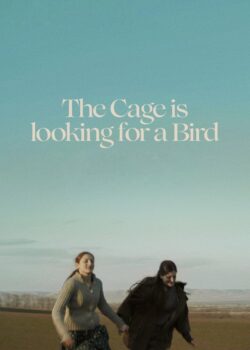 The Cage is Looking for a Bird poster