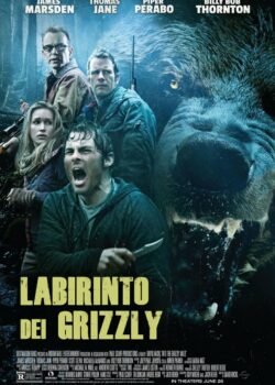 Il labirinto dei Grizzly poster