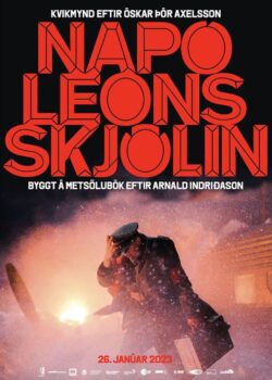 Operation Napoleon poster